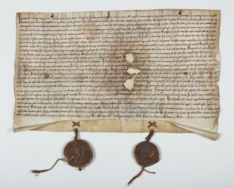 Stadterhebungsurkunde. Foto: A. Blazy